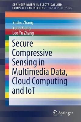 Secure Compressive Sensing in Multimedia Data, Cloud Computing and IoT. SpringerBriefs in Signal Processing