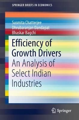Efficiency of Growth Drivers 9789811329180 (Paperback)