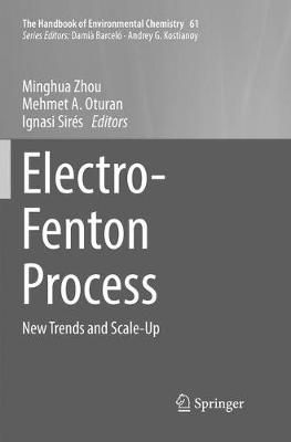 Electro-Fenton Process By Minghua Zhou 9789811348730 (Paperback)