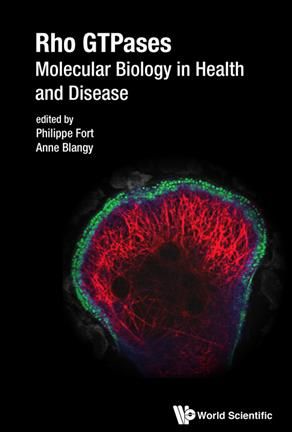 Rho GTPases: Molecular Biology in Health and Disease By Philippe Fort,