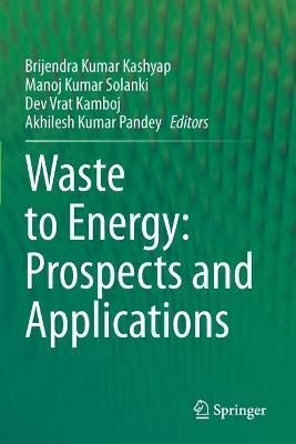 Waste to Energy 9789813343498 (Paperback)