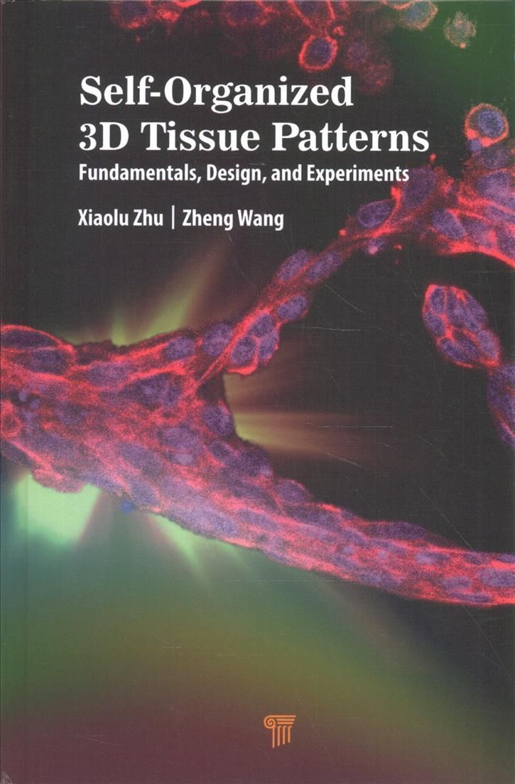 Self-Organized 3D Tissue Patterns: Fundamentals, Design, and Experiments