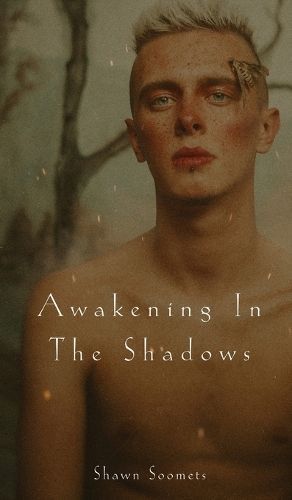 Awakening In The Shadows By Soomets 9789916396155 (Hardback)