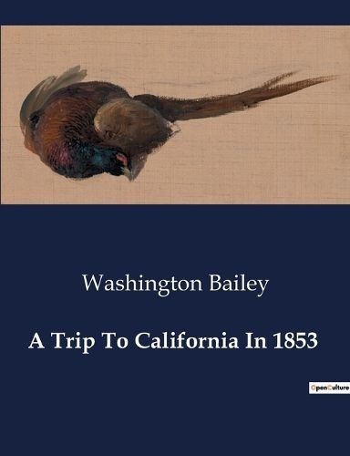 Trip To California In 1853 By Bailey 9791041983315 (Paperback)