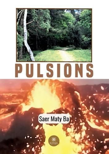Pulsions By Saer Maty Ba 9791042203559 (Paperback)