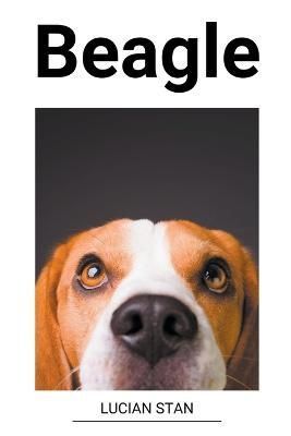 Beagle By Stan 9798215263983 (Paperback)