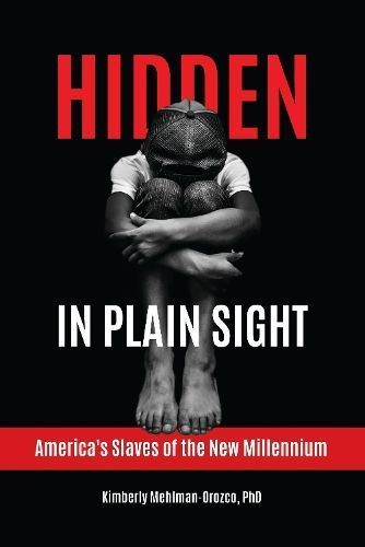 Hidden in Plain Sight By Kimberly Mehlman-Orozco 9798216185871