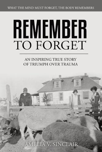 Remember To Forget By Amelia V Sinclair 9798218037918 (Paperback)