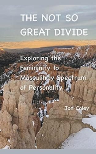 Not So Great Divide By Coley 9798223091820 (Paperback)