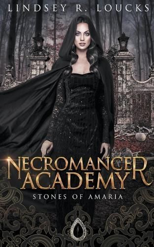 Necromancer Academy By Loucks 9798223233541 (Paperback)