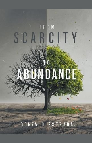 From Scarcity to Abundance By Estrada 9798224337576 (Paperback)