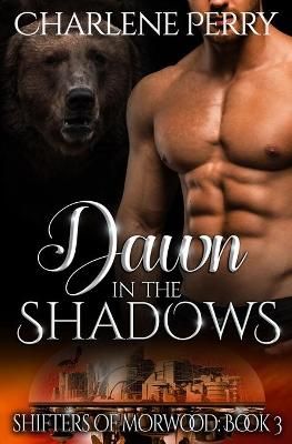 Dawn in the Shadows By Charlene Perry 9798737228040 (Paperback)