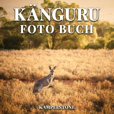 Känguru Foto Buch By Kampelstone 9798748032308 (Paperback)