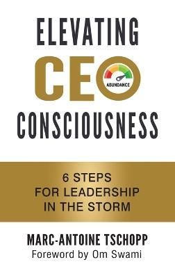 Elevating CEO Consciousness By Tschopp 9798765240038 (Hardback)
