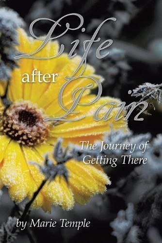 Life After Pain By Marie Temple 9798823021807 (Paperback)
