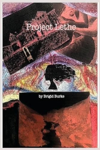 Project Lethe By Burke 9798869269188 (Paperback)