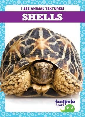 Shells By Jenna Lee Gleisner 9798885240482 (Paperback)