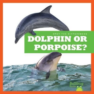 Dolphin or Porpoise? By Jamie Rice 9798885241564 (Paperback)