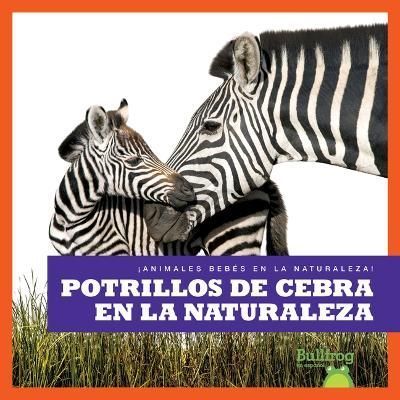 Potrillos De Cebra En La Naturaleza By Marie Brandle 9798885242394