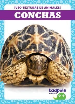 Conchas By Jenna Lee Gleisner 9798885242424 (Hardback)