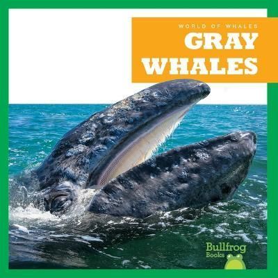 Gray Whales By Eliza Leahy (author), N/A (illustrator) 9798885245937