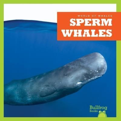 Sperm Whales By Katie Chanez 9798885246019 (Hardback)