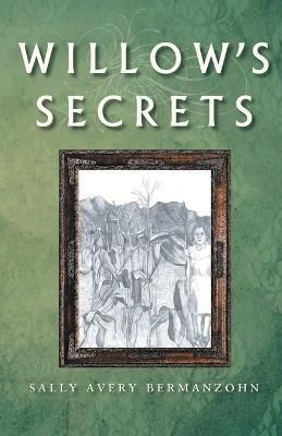 Willow's Secrets By Sally Avery Bermanzohn 9798886150698 (Paperback)