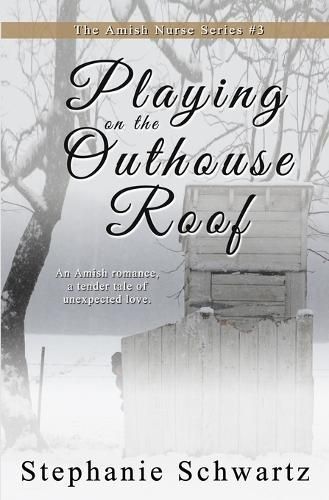 Playing on the Outhouse Roof By Schwartz 9798886531503 (Paperback)