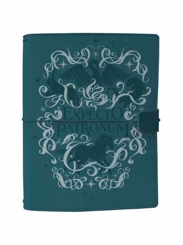 Harry Potter By Insight Editions 9798886631074 (Notebook / blank book)