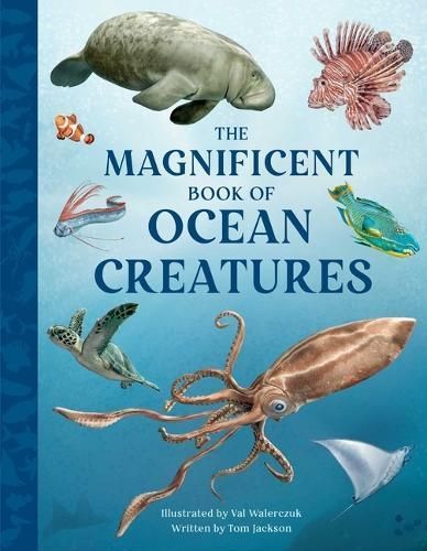 The Magnificent Book of Ocean Creatures 9798886741193 (Hardback)