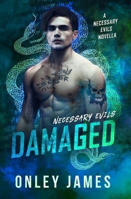 Damaged By James 9798887224398 (Hardback)