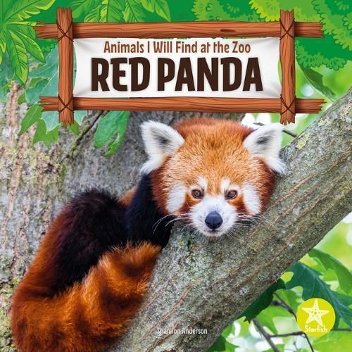 Red Panda By Shannon Anderson 9798887354385 (Paperback)