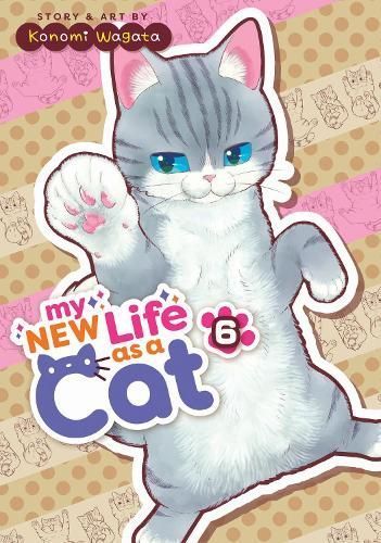 My New Life as a Cat Vol. 6 By Konomi Wagata 9798888431603 (Paperback)