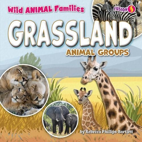 Grassland Animal Groups By Rebecca Phillips-Bartlett 9798889163213