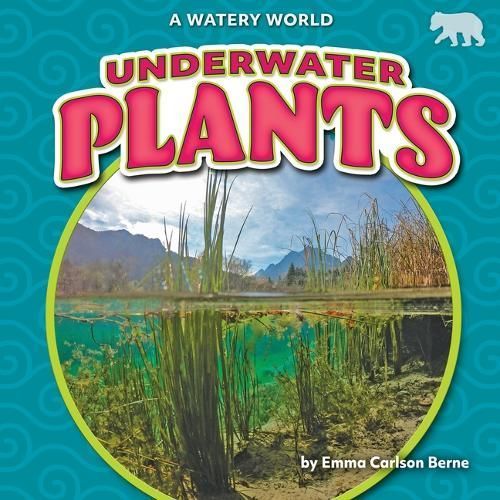 Underwater Plants By Emma Carlson Berne 9798889169918 (Book)