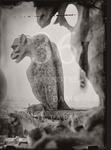 Thirty-Six Views of Notre Dame By Tomas Van Houtryve (photographer)