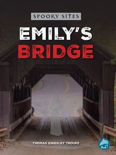 Emily's Bridge By Thomas Kingsley Troupe 9798890427182 (Paperback)