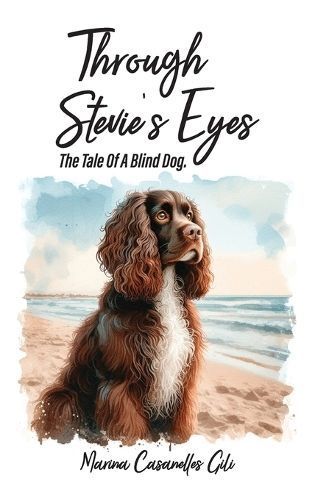 Through Stevie's Eyes By Marina Casanelles Gili 9798894060859