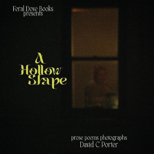A Hollow Shape 9798985676471 (Paperback)