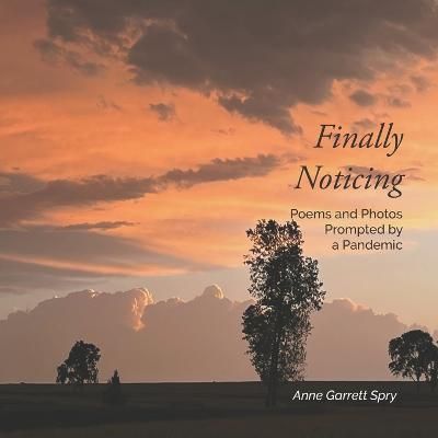 Finally Noticing 9798985803112 (Paperback)