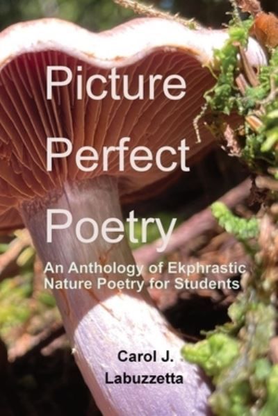 Picture Perfect Poetry 9798986136912 (Paperback)