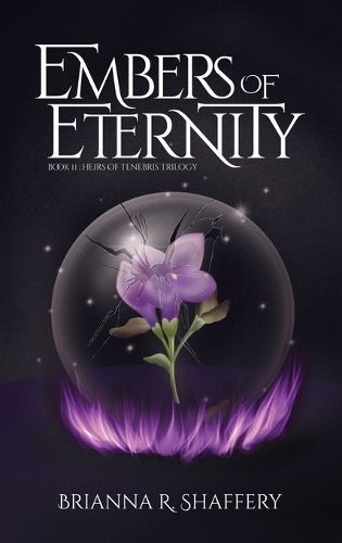 Embers of Eternity By Brianna R Shaffery 9798986173238 (Hardback)