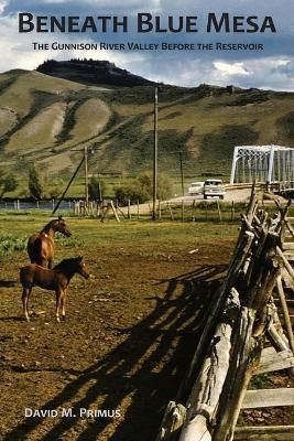 Beneath Blue Mesa By Primus 9798986476100 (Paperback)