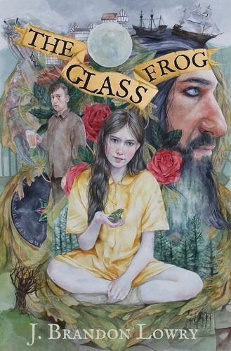 The Glass Frog By Joshua Lowry (author), Teresa Jenellen (other)