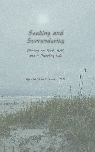 Seeking and Surrendering By Parto Dehdashti 9798989504619 (Paperback)